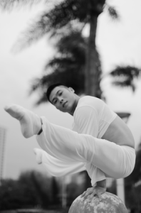 達人秀倒立舞者、柔術達人